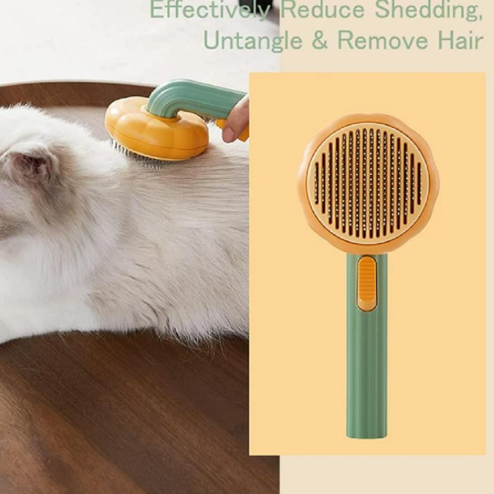 Pumpkin Pet Hair Removal Brush