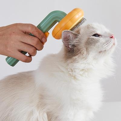 Pumpkin Pet Hair Removal Brush